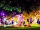 Vibrant World of The Darwin Fringe Festival Darwin Fringe Festival
