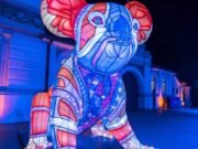 Illuminate Your World: The Artistic Magic of Vivid Sydney Vivid Koala