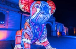 Illuminate Your World: The Artistic Magic of Vivid Sydney Vivid Koala