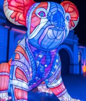 Illuminate Your World: The Artistic Magic of Vivid Sydney Vivid Koala