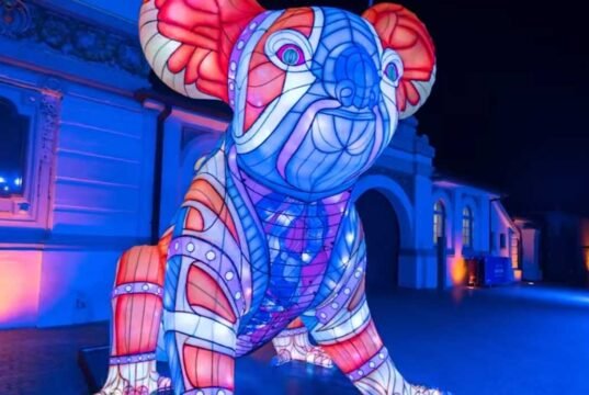Illuminate Your World: The Artistic Magic of Vivid Sydney Vivid Koala