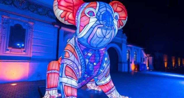 Illuminate Your World: The Artistic Magic of Vivid Sydney Vivid Koala