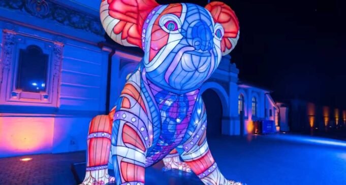 Illuminate Your World: The Artistic Magic of Vivid Sydney Vivid Koala