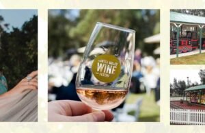 Good Times at The Hunter Valley Wine and Beer Festival Hunter-Valley-Wine-Beer-Festival