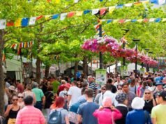 The National Multicultural Festival: Embracing Diversity in Canberra The Canberra Multicultural Festival