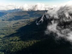 Beautiful Tasmania: Highlights for a Visitor Franklin-Gordon-Wild-Rivers-National-Park-Ollie-Khedun-and-West-Coast-Council