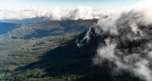 Beautiful Tasmania: Highlights for a Visitor Franklin-Gordon-Wild-Rivers-National-Park-Ollie-Khedun-and-West-Coast-Council