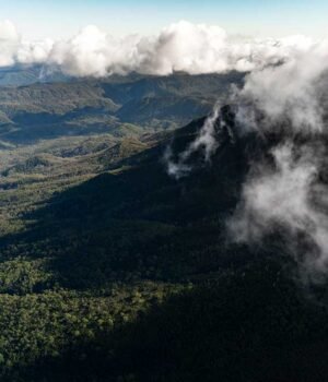 Beautiful Tasmania: Highlights for a Visitor Franklin-Gordon-Wild-Rivers-National-Park-Ollie-Khedun-and-West-Coast-Council