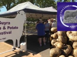 guyra lamb and potato festival