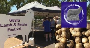 Fine Food and Fun at Guyra Lamb and Potato Festival guyra lamb and potato festival