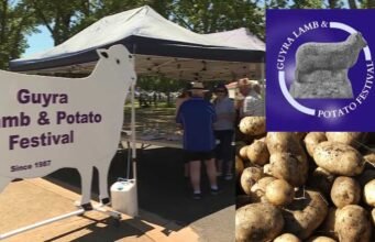 Fine Food and Fun at Guyra Lamb and Potato Festival guyra lamb and potato festival