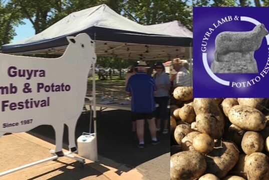 Fine Food and Fun at Guyra Lamb and Potato Festival guyra lamb and potato festival
