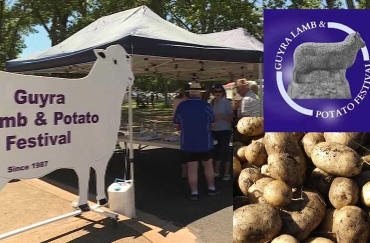 guyra lamb and potato festival