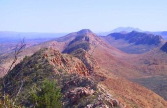 Top Attractions and Hidden Gems in Alice Springs and Beyond Toritja_West_MacDonnell_National_Park_Wiki