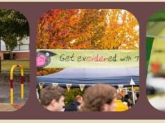 Join the Festivities: Batlow CiderFest’s Apple Harvest Celebration batlow_ciderfest