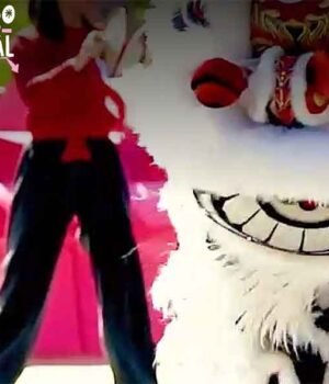 A Guide to Bendigo’s Premier Easter Festival Celebrations bendigo_easter_festival_dragon