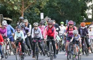 Experience the Thrills of the Brisbane Cycling Festival brisbane_cycling_festival