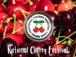 national cherry festival young