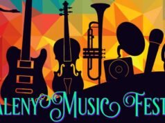 Maleny Music Festival: A Weekend of Musical Magic in Queensland’s Hinterland maleney_music_festival