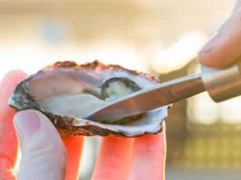 oyster_festival_banner