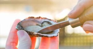 Music, Oysters, and More: Narooma Oyster Festival oyster_festival_banner