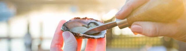 Music, Oysters, and More: Narooma Oyster Festival oyster_festival_banner