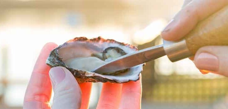 oyster_festival_banner