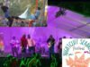 Discover the Nightcliff Seabreeze Festival: Celebrating Culture and Community nightcliff_seabreeze_festival