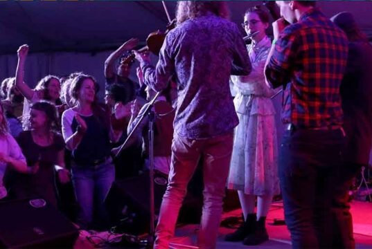 Experience the Magic of Folk Music at St Albans Folk Festival st_albans_folk_festival_crowd