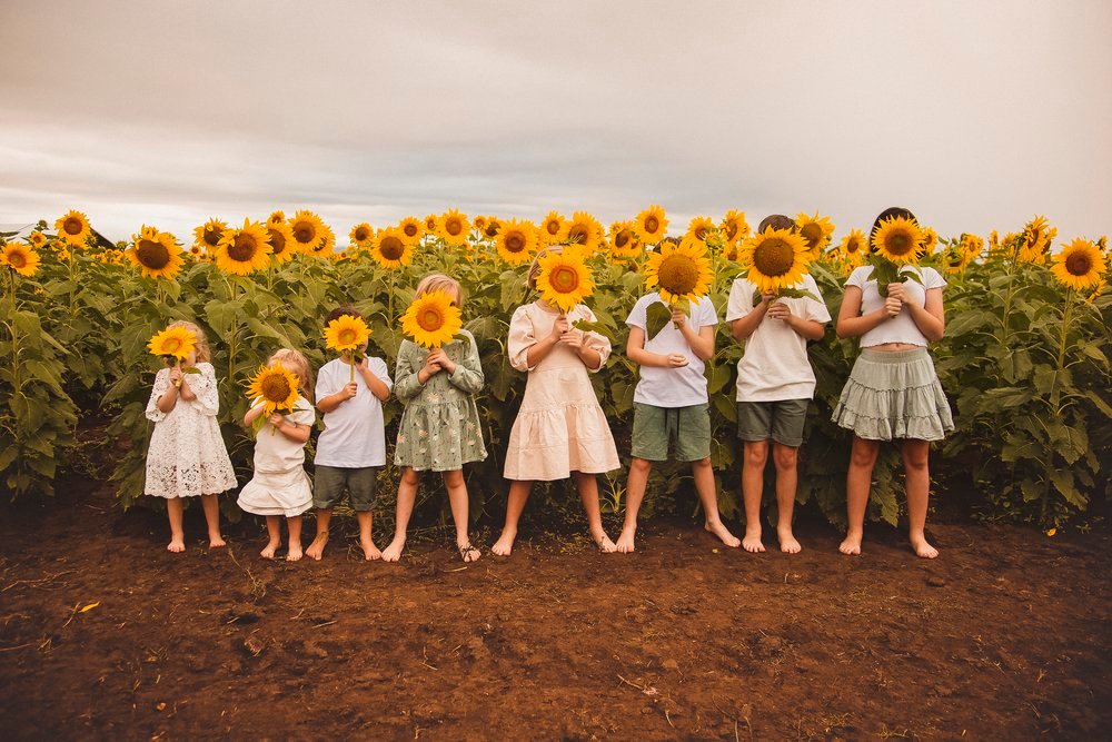 sunflower_children_lkalabar