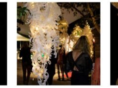 Australian Wearable Art Festival: Fusion of Fashion and Art australian_wearable-art_festival