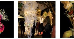 Australian Wearable Art Festival: Fusion of Fashion and Art australian_wearable-art_festival